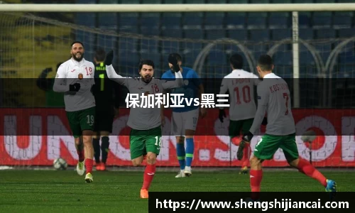 保加利亚vs黑三
