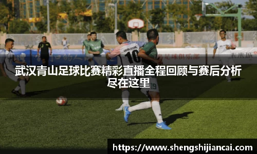 武汉青山足球比赛精彩直播全程回顾与赛后分析尽在这里