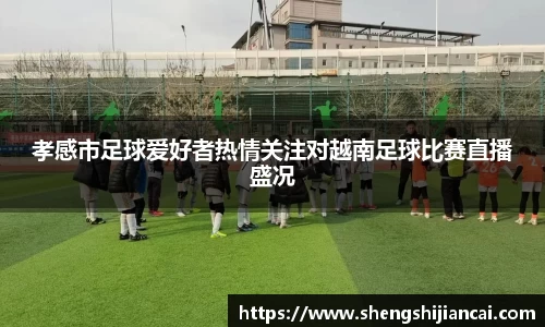 孝感市足球爱好者热情关注对越南足球比赛直播盛况