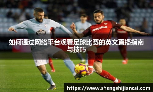 如何通过网络平台观看足球比赛的英文直播指南与技巧