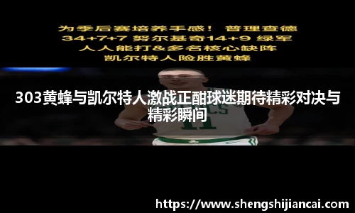 303黄蜂与凯尔特人激战正酣球迷期待精彩对决与精彩瞬间